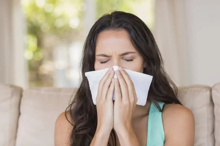 The Link Between Air Conditioning and Allergies: Improving Indoor Air ... The Link Between Air Conditioning and Allergies: Improving Indoor Air ...